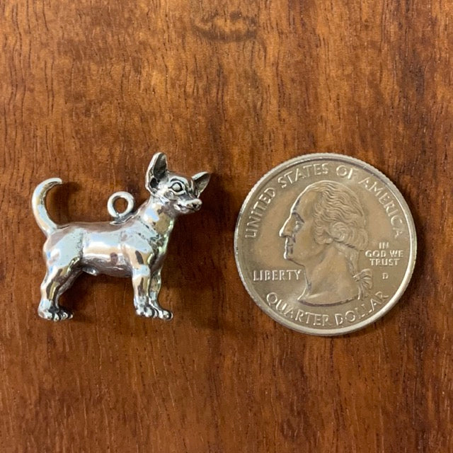 Chihuahua Charm