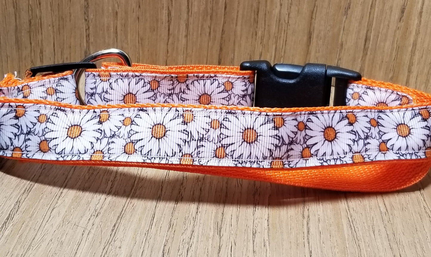 Leash/ Large/ White and Orange Daisies