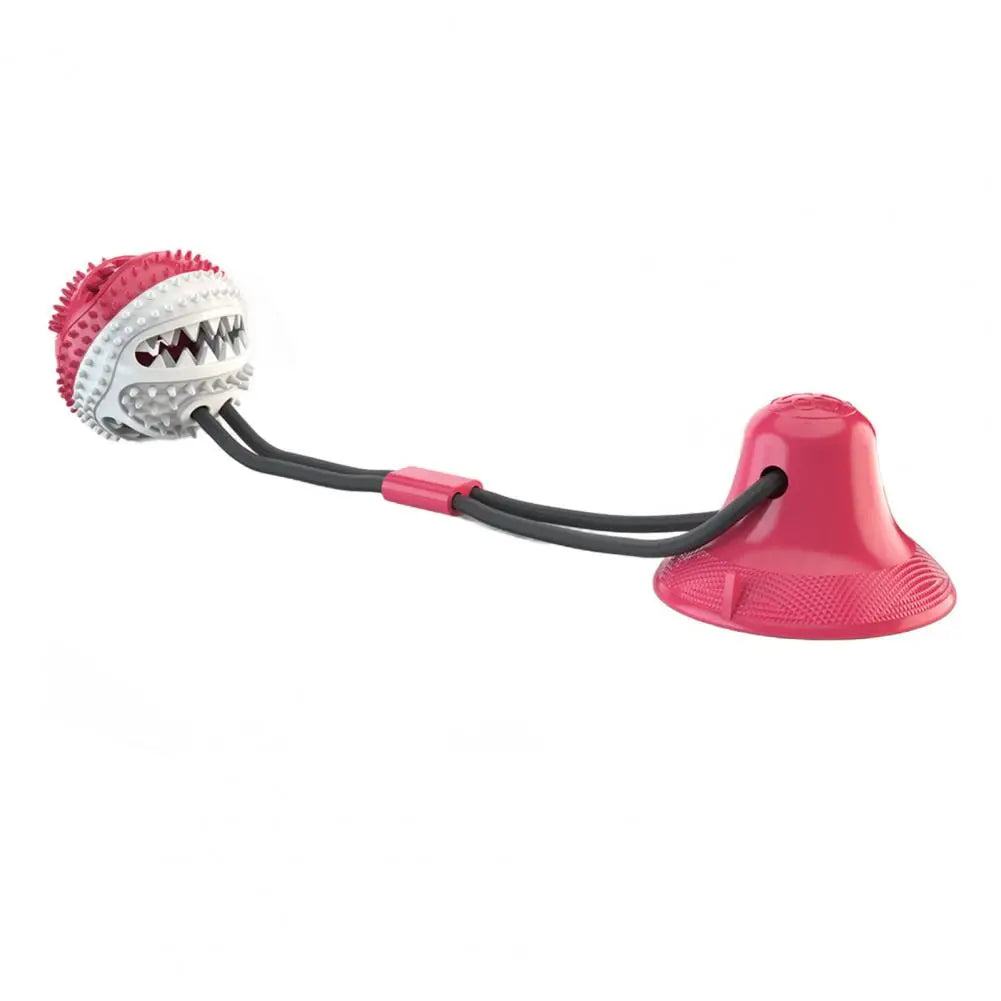 S31b8b762ce8145d5b5345422c1939f8ef