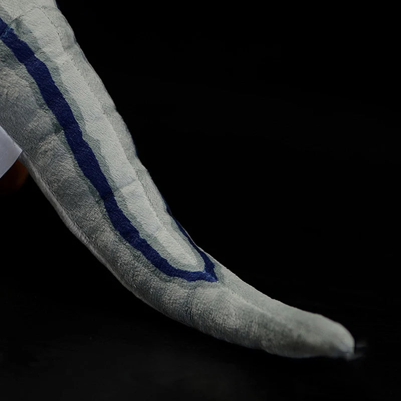 S65be83b5a05e4c2d9754822e29ddcd87o