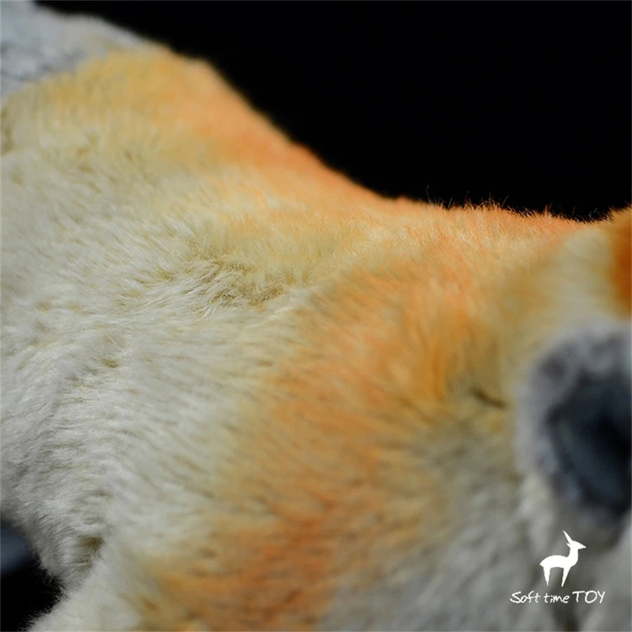 S6619865880fc41f082fcabe94073d5d9G