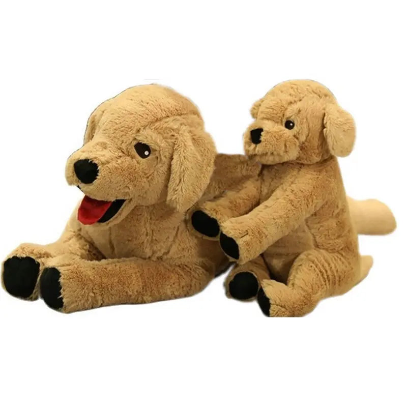 Sd81a0ec5ace344fc9d2b67410449032aF