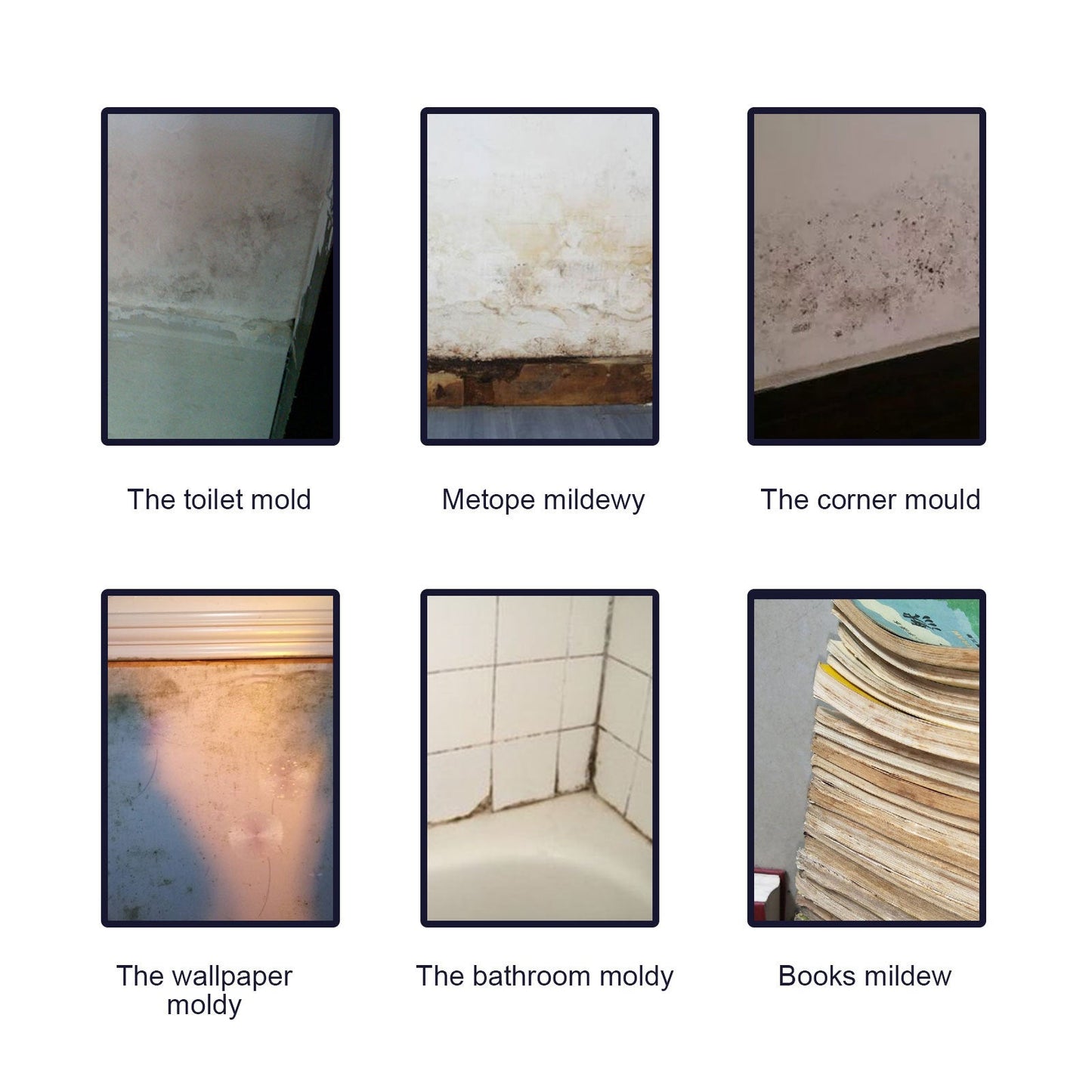 Mold Remover Spray, Ceiling Bathroom Tile Wall Multi-Effect Cleaning Decontamination And Mildew Removal Spray