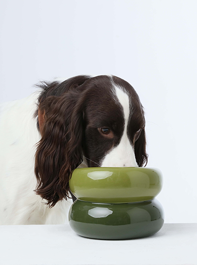 Soufflé Pet Bowl - Avocado Green - cavamart.com