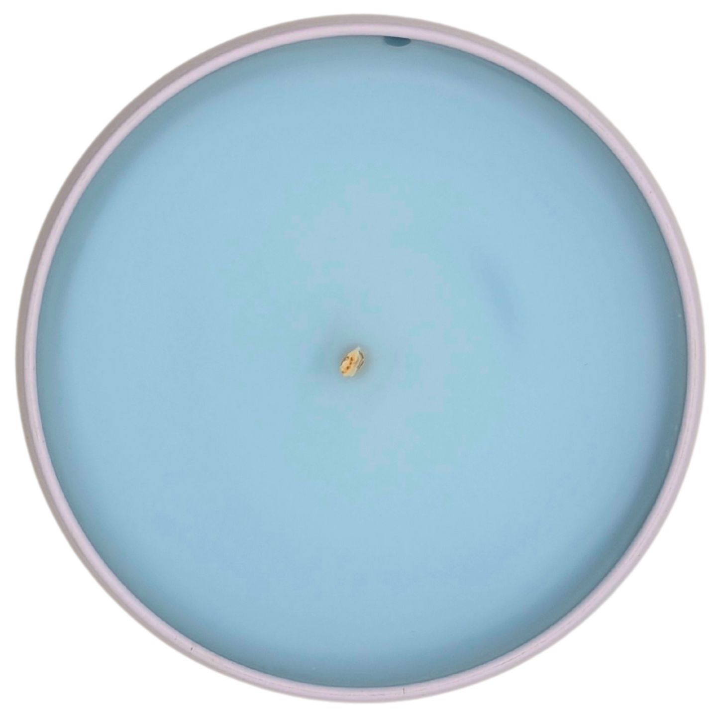 Forest Majesty™ Tranquil Soy Candle | Grounded Refined Calm – ResilScents™