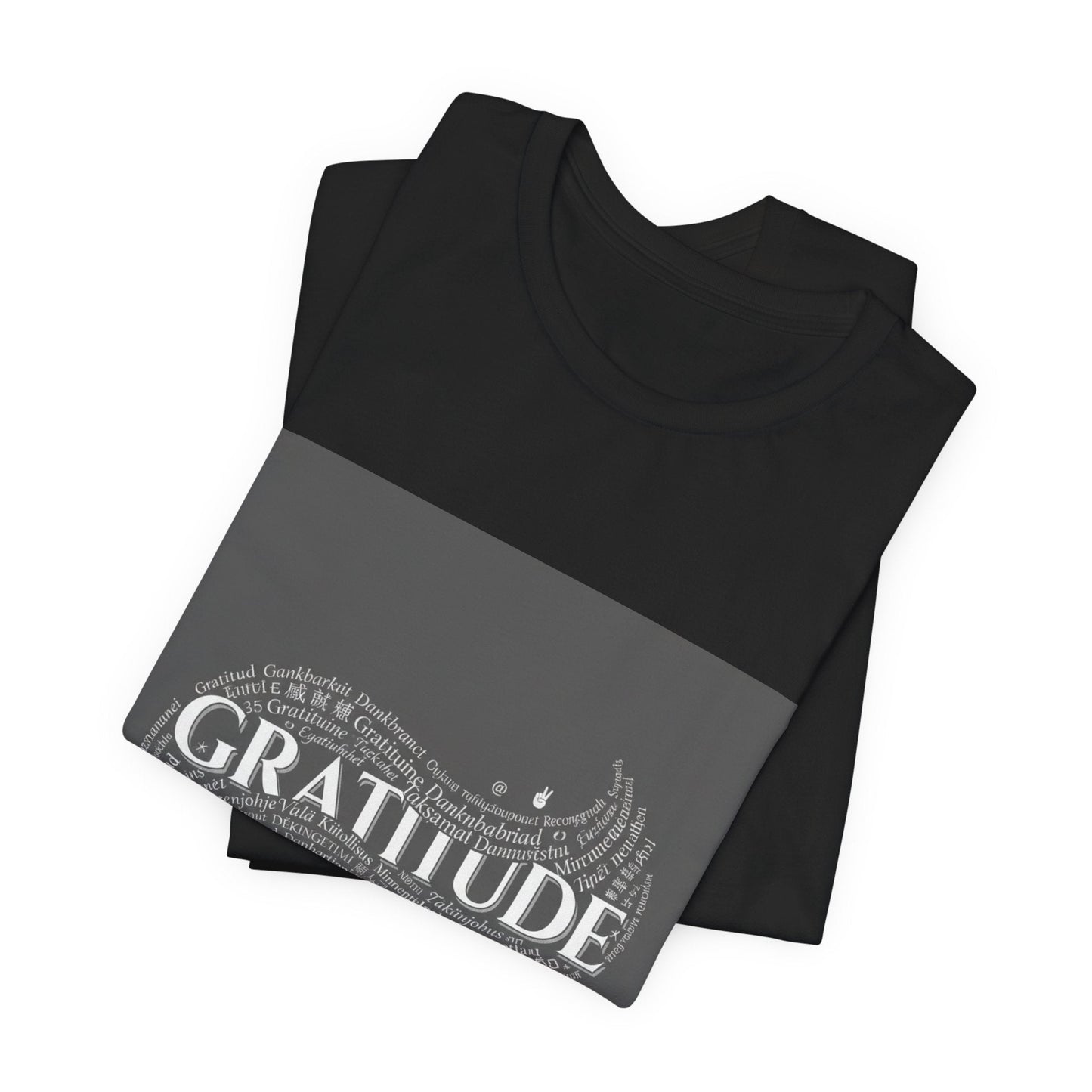 Gratitude is a Universal Language – T-Shirt