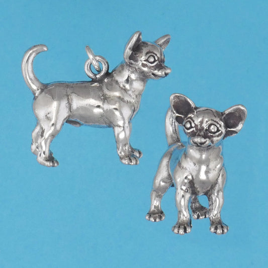 Chihuahua Charm