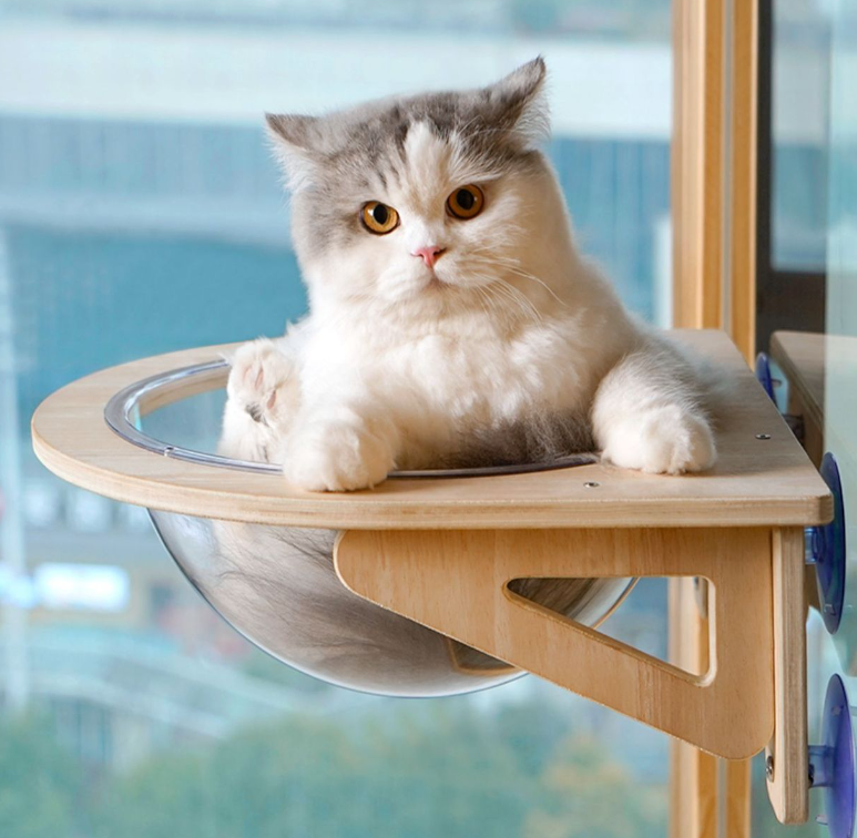 Solid wood spacecraft cat nest cat hammock hanging suction cup climbing frame balcony