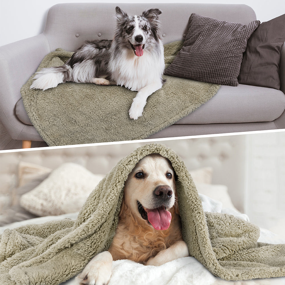 1f077d997a51c99828d5d309dd29cf03d26a94476e7d02f459e5f0981f60b0e6