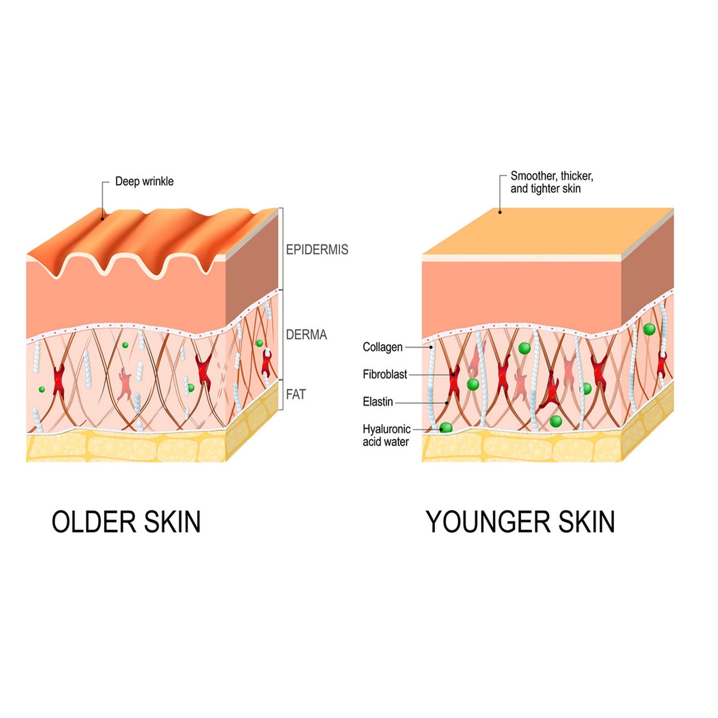 Deep Cleansing Anti-Wrinkle Serum, Facial Skin Smoothing Fine Lines Hydrating Firming And Care Serum