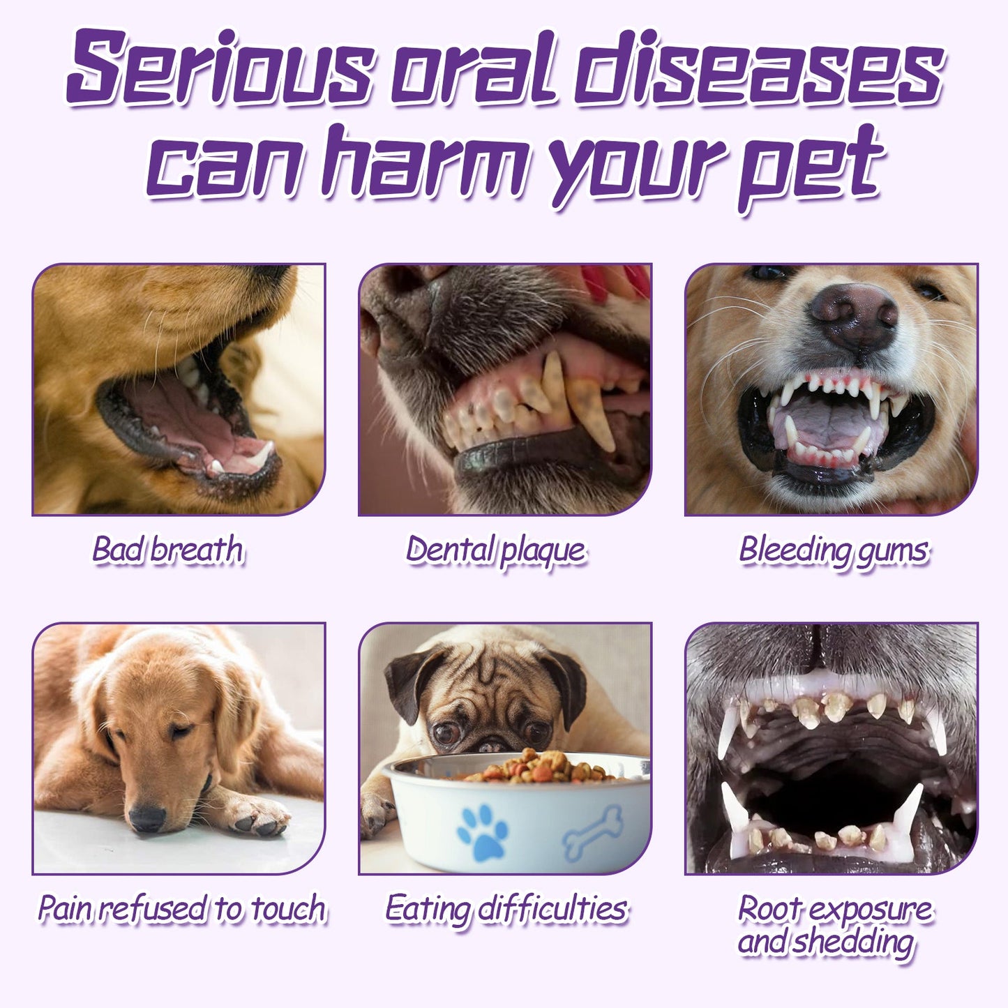 Pet Toothbrush For Dogs, Pet Oral Cleaning Dental Stains Dental Health Care