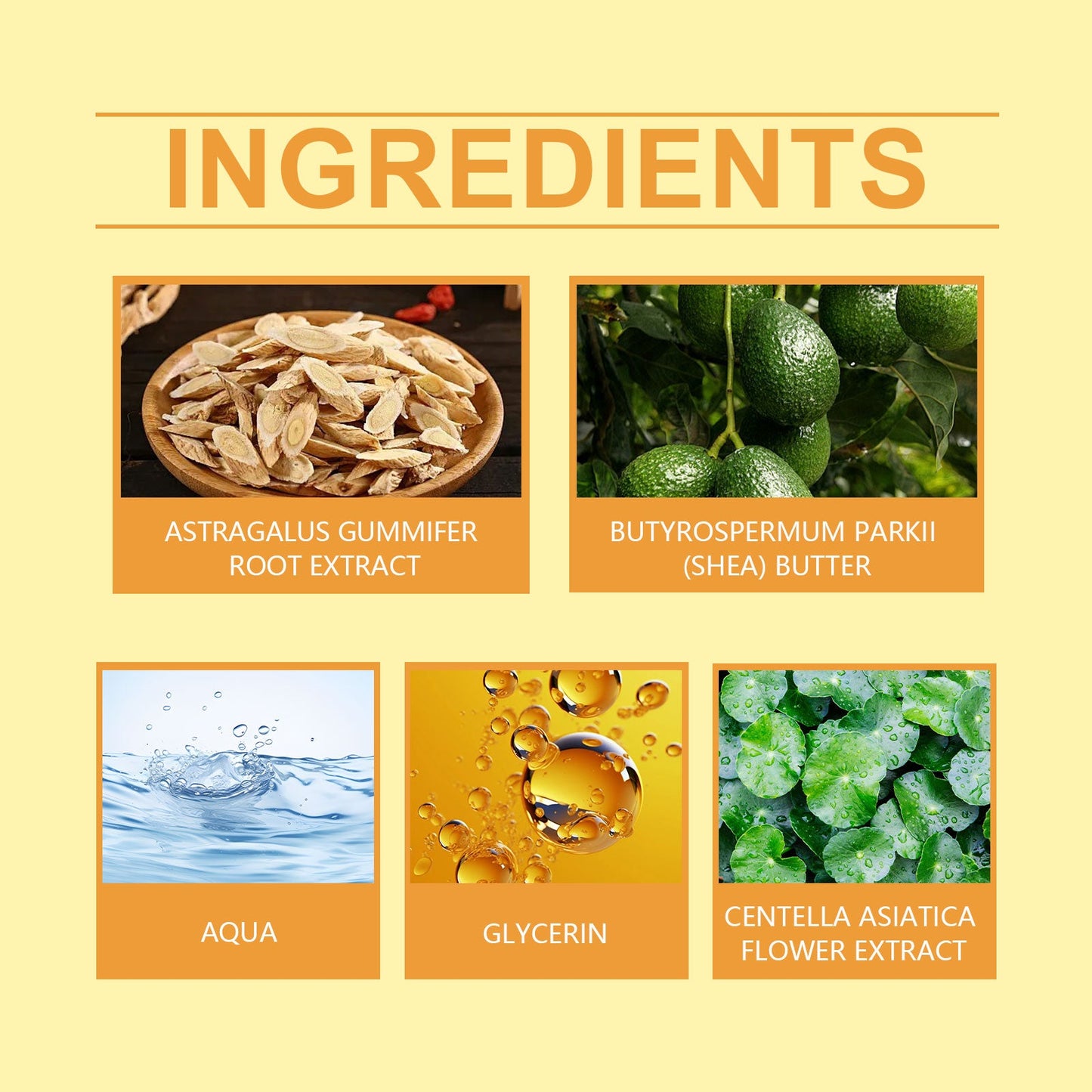 Astragalus Cream, Brightening, Hydrating, Firming, Brightening, Moisturizing And Non-Greasy Skin Care Moisturizer