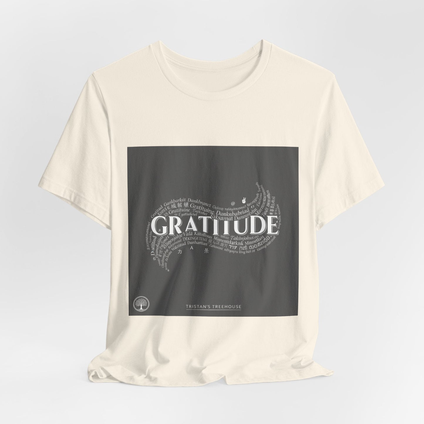 Gratitude is a Universal Language – T-Shirt