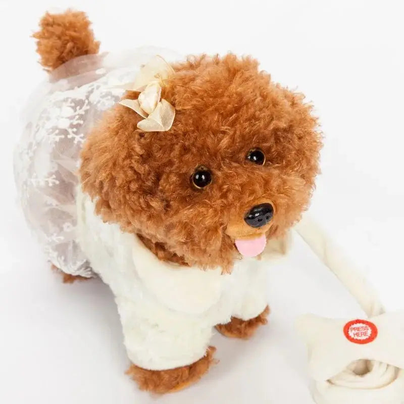 Ae718aff9116649ab972c07b4b850515fC