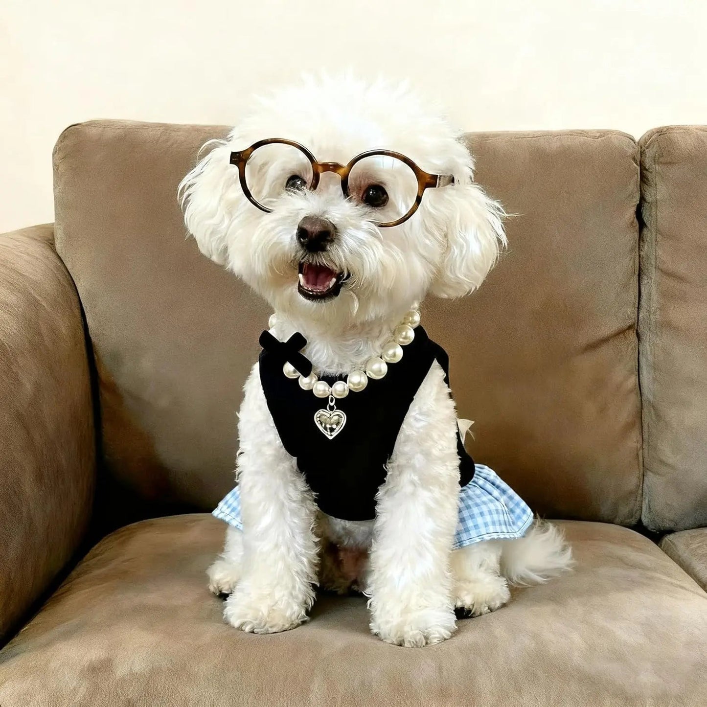Blue Plaid Small Dog or Cat Dress w/ Glasses & Pearl Necklace Small Dogs