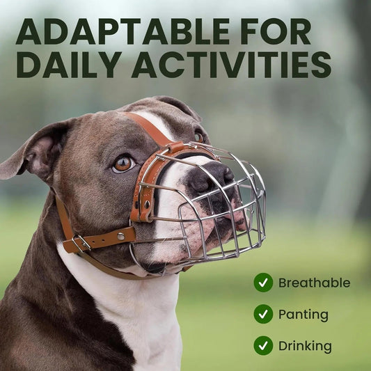 Breathable Metal Basket Dog Muzzle for Large Dogs with Leather Straps