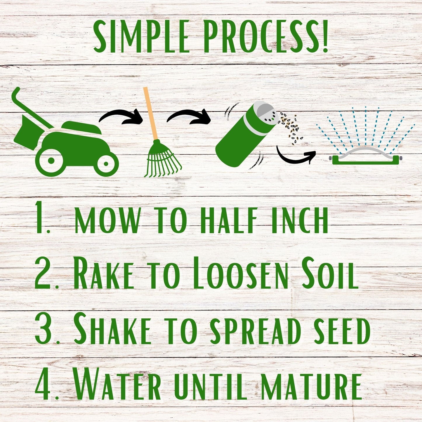 Bee Lawn Seed Kit - Easy Spread Shaker