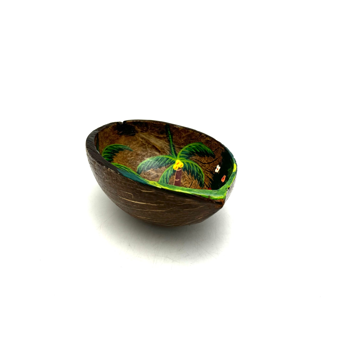 Half a Coconut Art Bowl