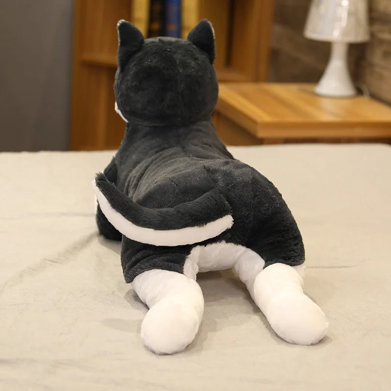 H07e3189ab8b44ee785e39f7356af77e8P