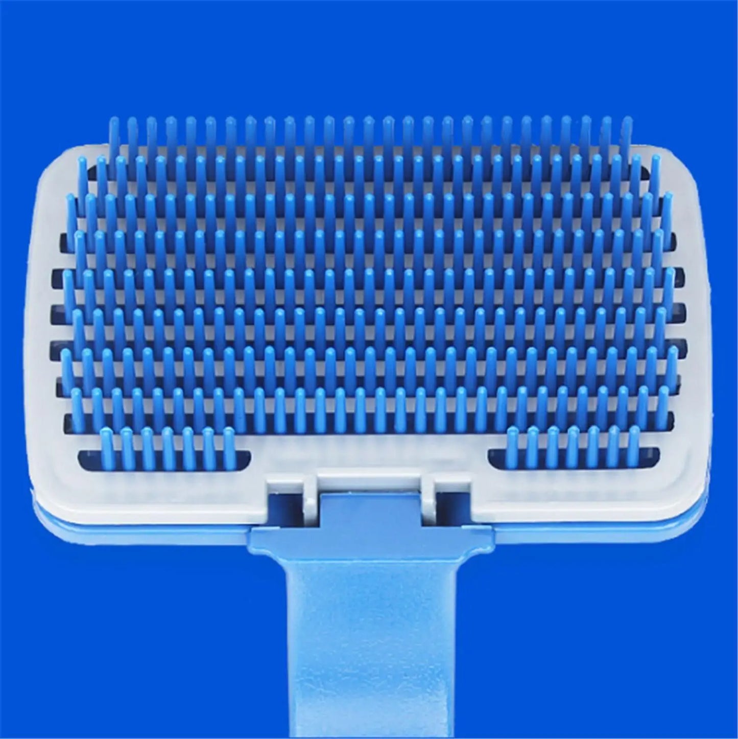 HTB1pIy1X3mH3KVjSZKzq6z2OXXa8