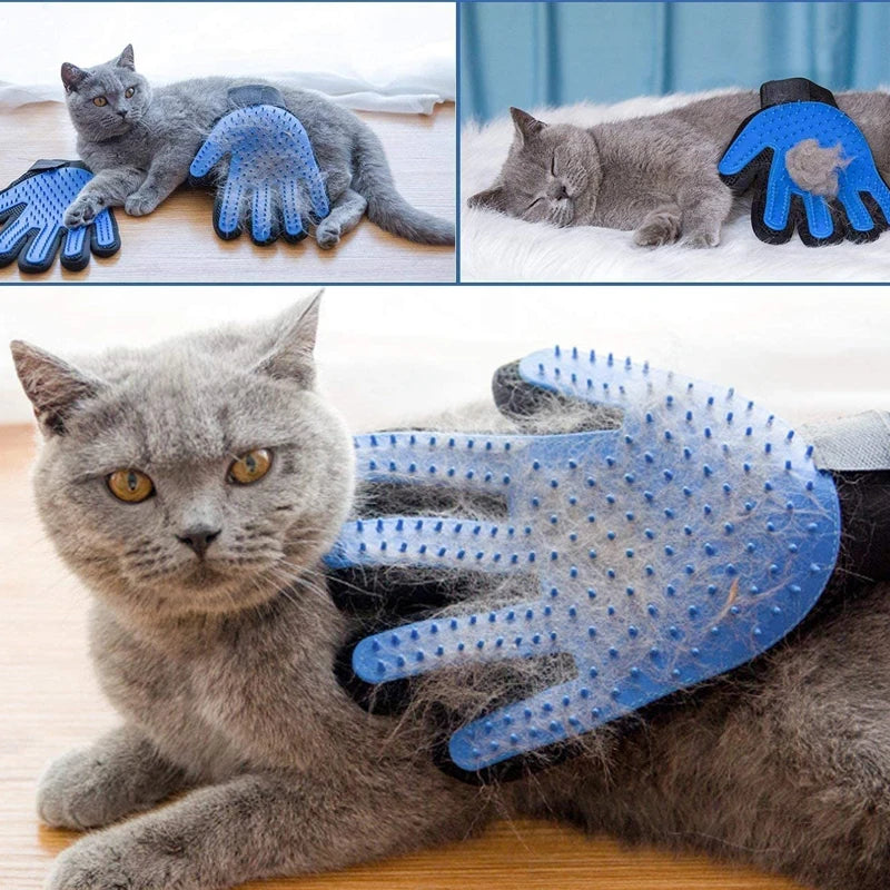 Hc1e9d6ca20dd437aa7800ea87b0c9d27p