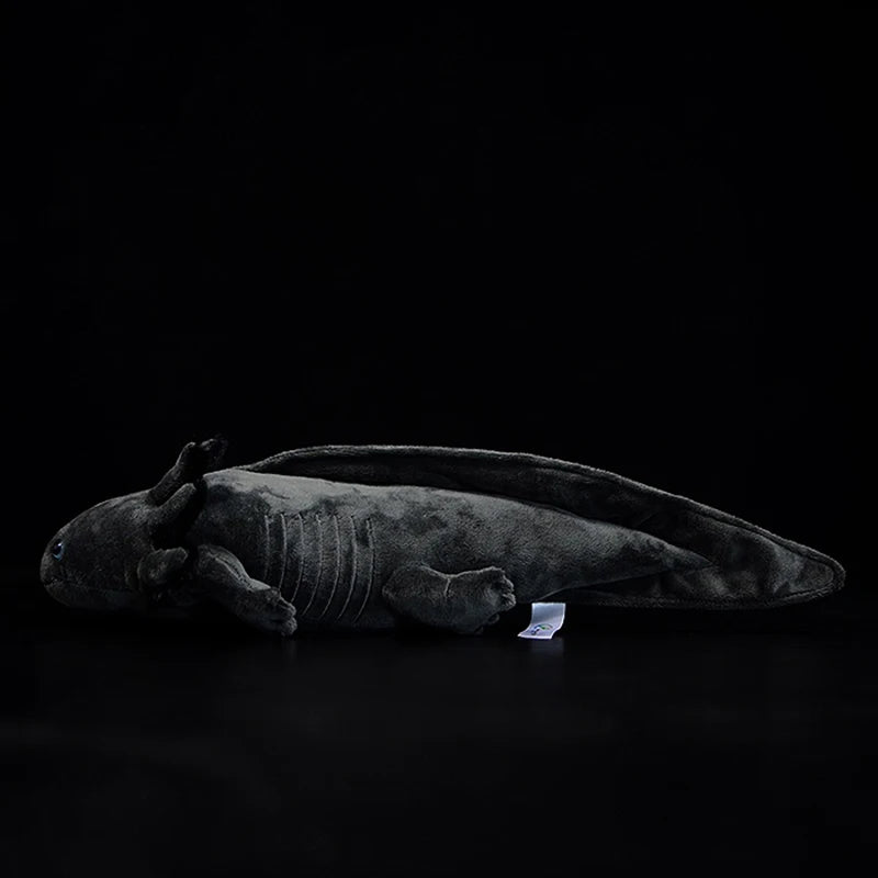 He6fb1cebe0c14912a8fba7f4705cd0488