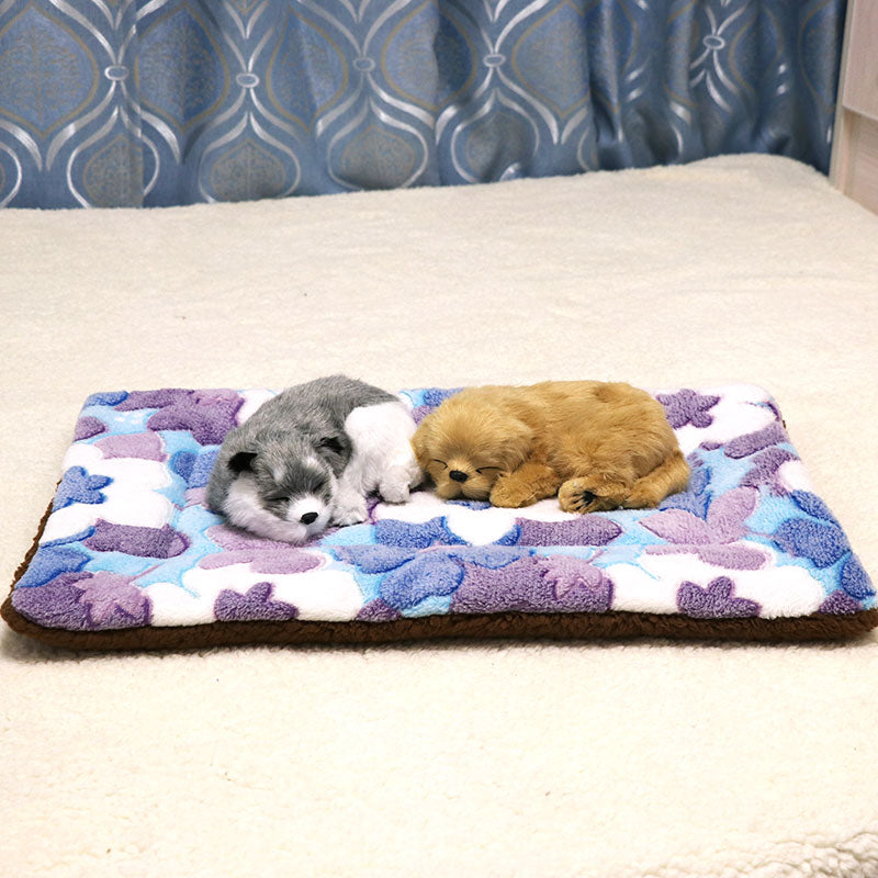 O1CN018Jly3A2LY1nuDHUrL_!!3937219703