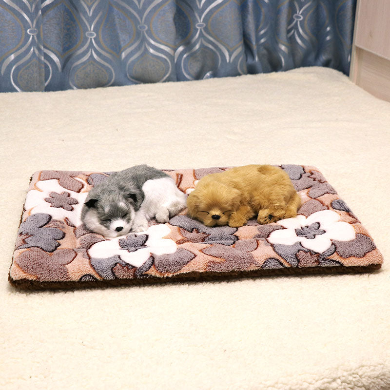 O1CN01zzYJvT2LY1oCgcjpD_!!3937219703