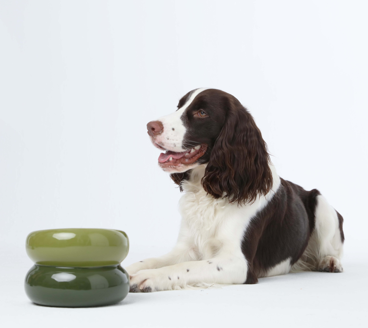 Soufflé Pet Bowl - Avocado Green - cavamart.com