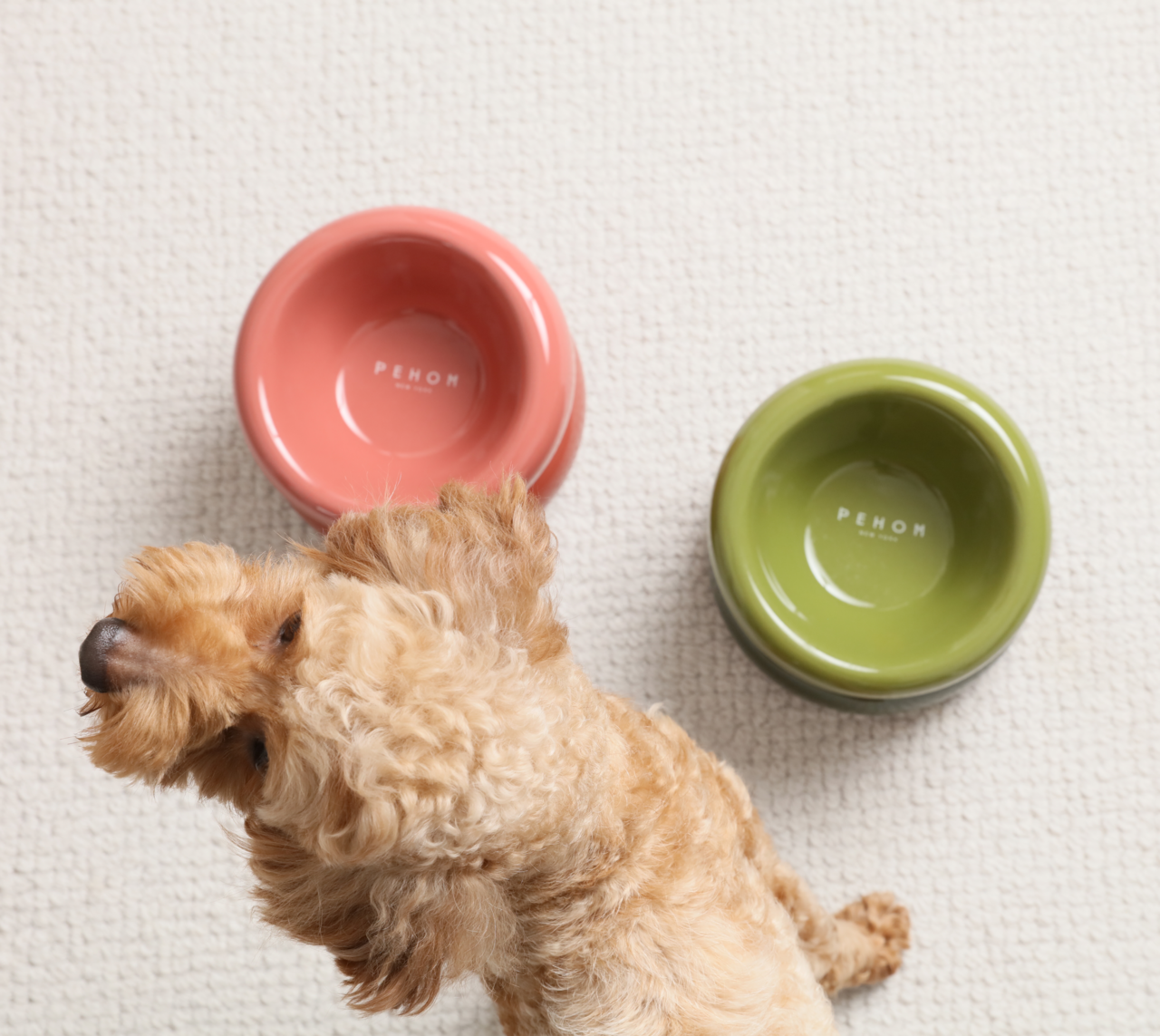 Soufflé Pet Bowl - Avocado Green - cavamart.com