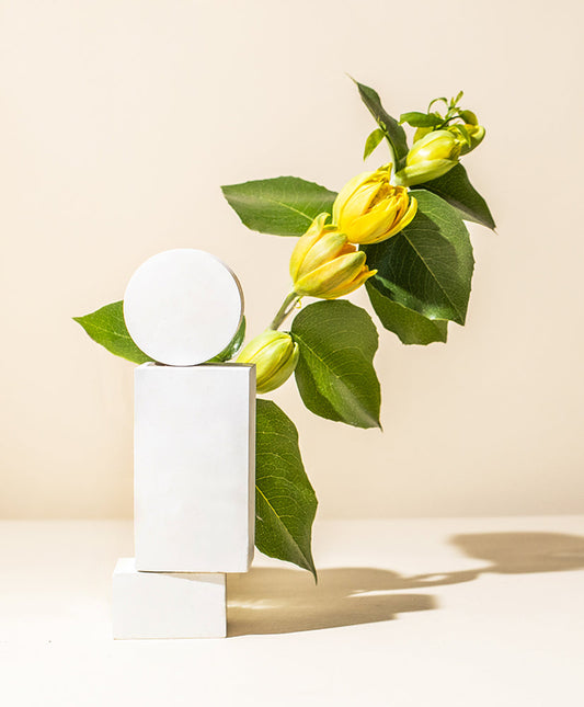 organic ylang ylang essential oil