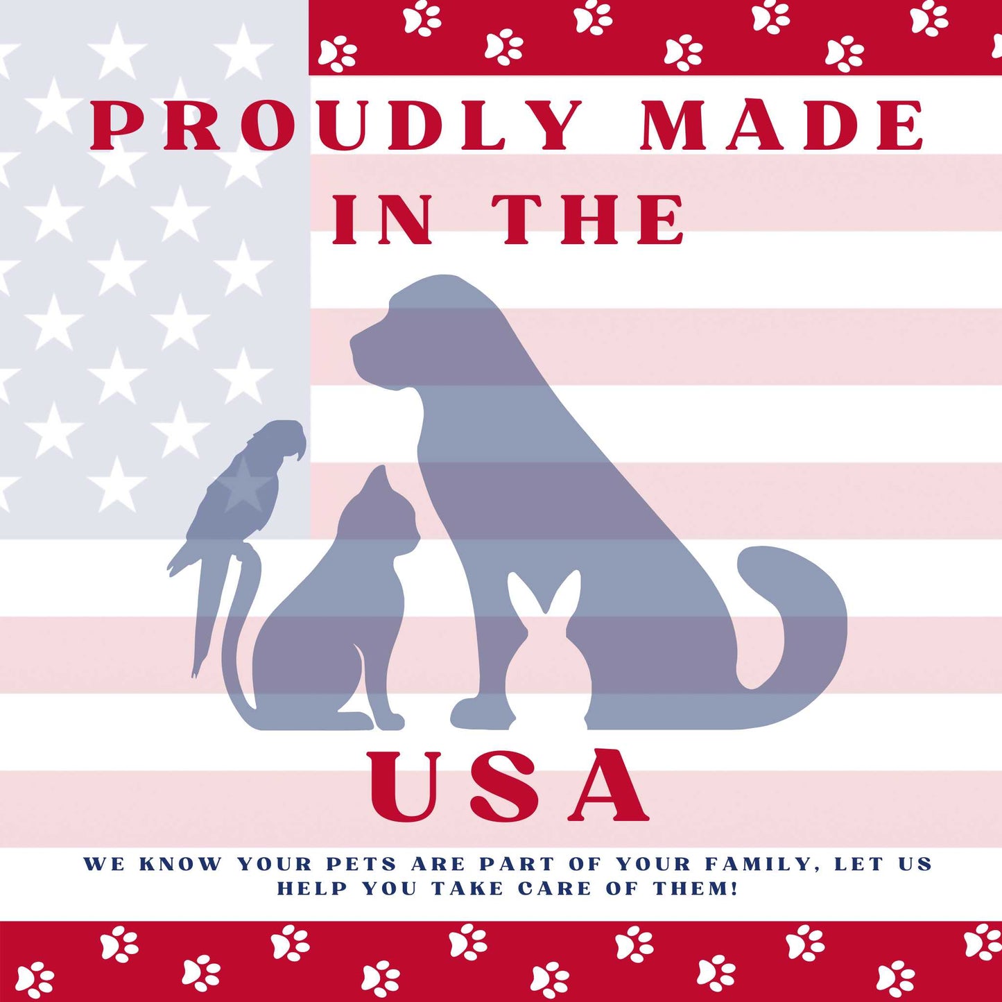 Piccardmeds4pets Derma-3 Liquid Omega-3 Supplement - 8oz Pump Bottle for Dogs & Cats + FREE Bandana!
