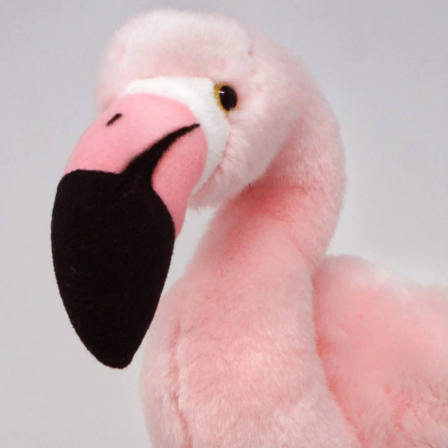 S06168c7d4ee24bda847736480c359e69l