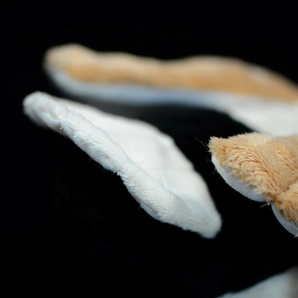 S09737fa6dac04d9fb47df21d95d81f0e4