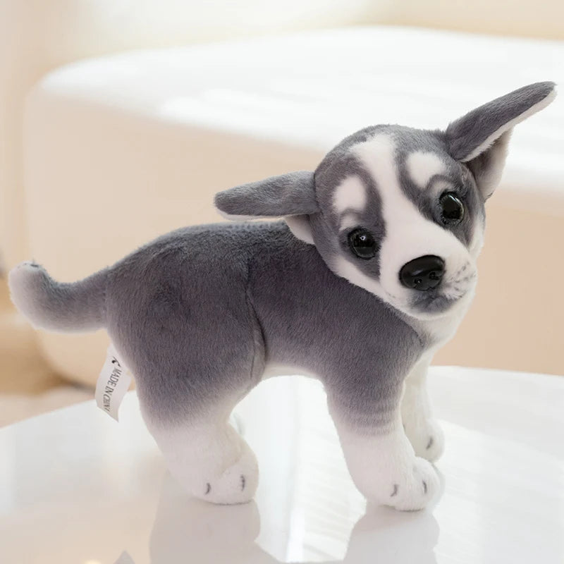 S0ad9a735de984bedb7df97f102c15415i