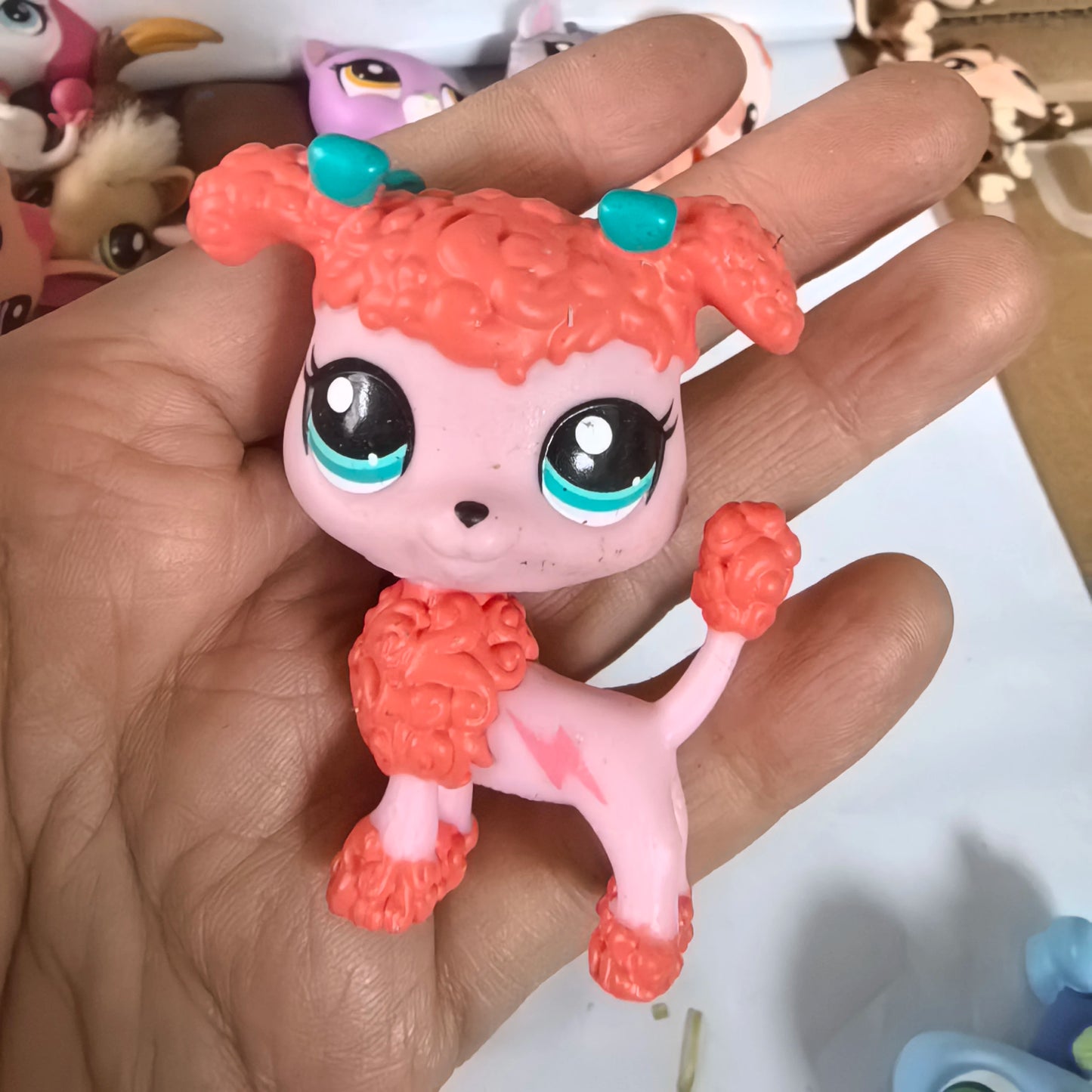 S102ccd6eb85144e491c464d9adb06db1P