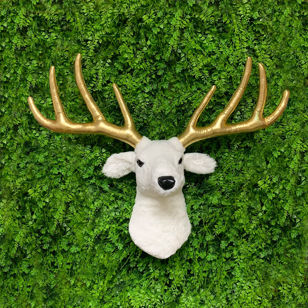 S122fae1efcc74876863be8ff27a37049p