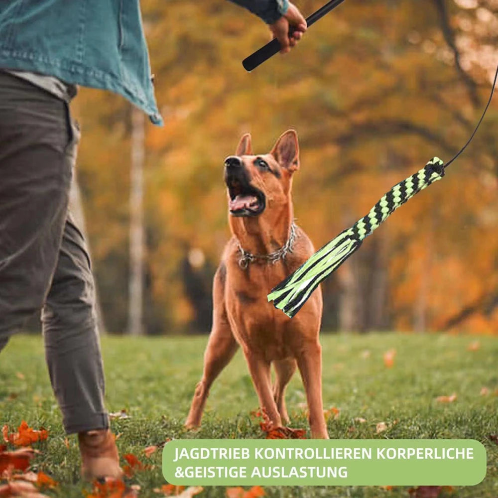 S1578f0467ee04753ac7456d4614ca765v