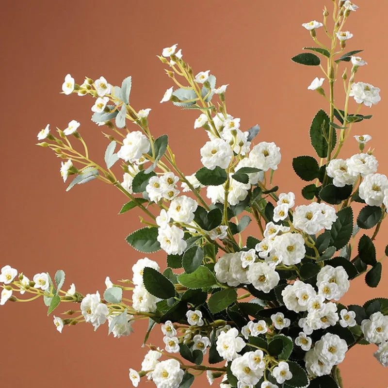 S19c8f4a36d524529bd6bc159cae7cdf43