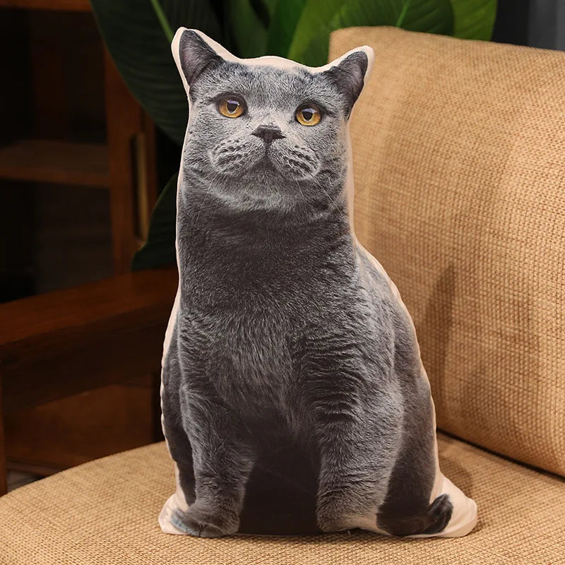 S1c4e328819b94a13911761c22324c2b5J