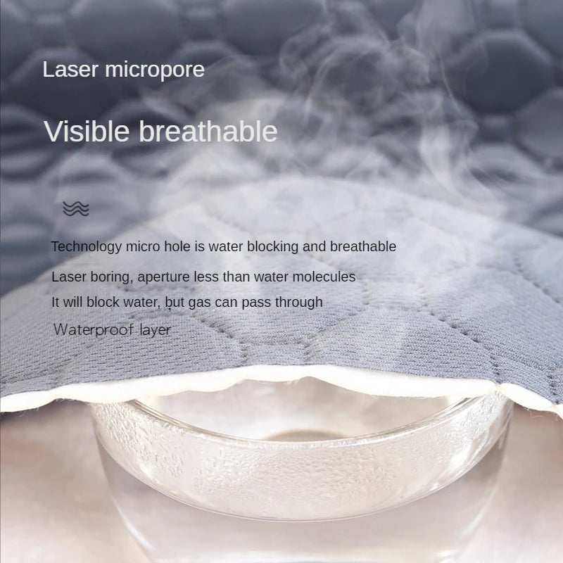 S1f1c4bbe50fe45498482c8b9d82037a2s