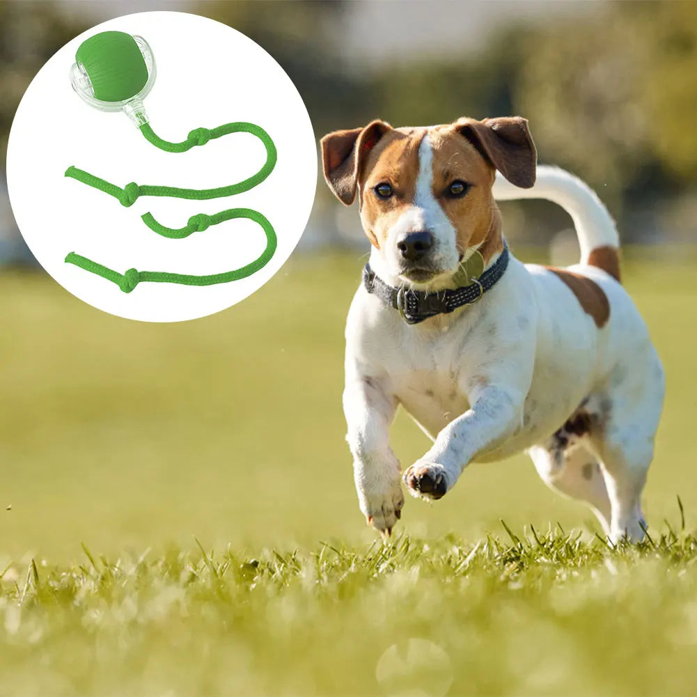 S22eb5ff744de40918cfc74ec84d76eff3