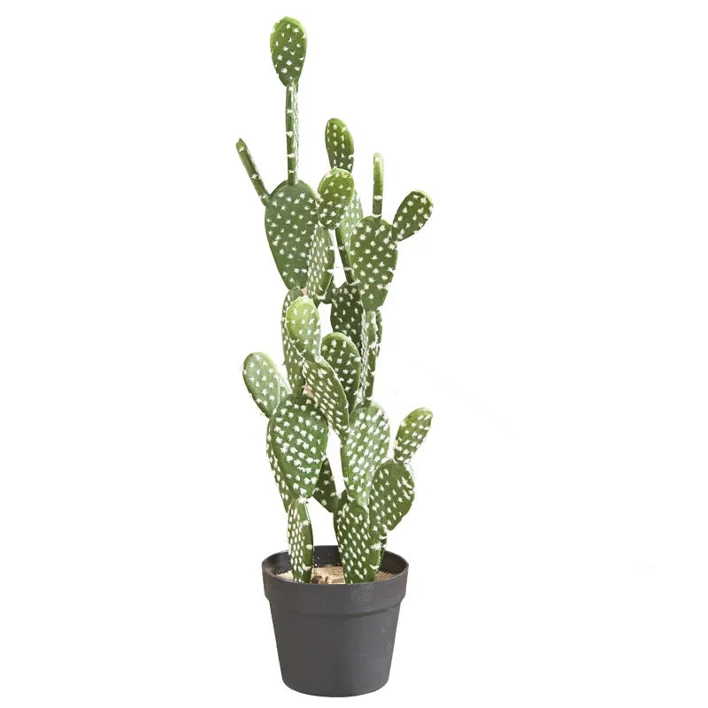 S23fddbe26e0e48b8958e95bb3590a1eb3