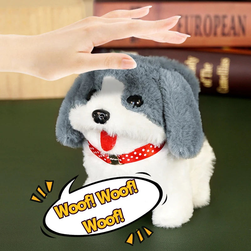 S29f06fe5d97f4a0888cd11fa9bd6c64di