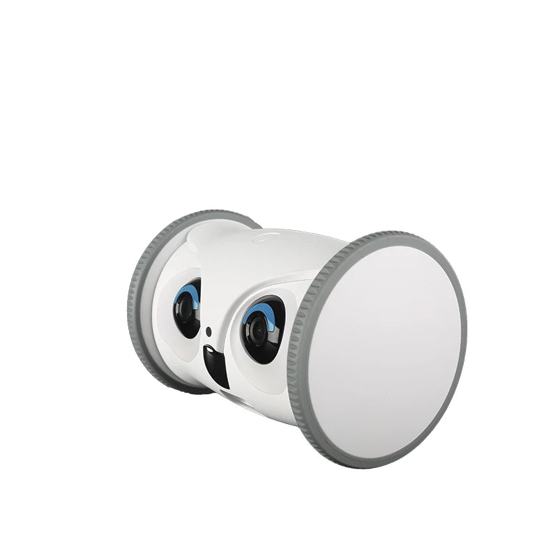 S2ce08dce7cf949c3960f71a0faa7a34cV