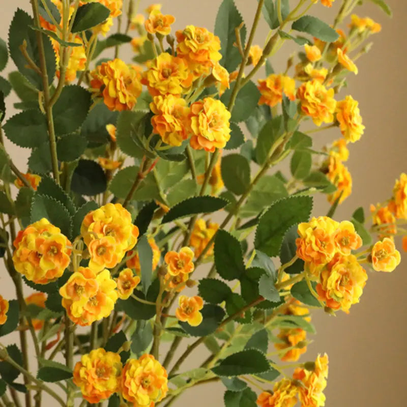 S2d30240cd51f4f77924f6fd20bbc188eb