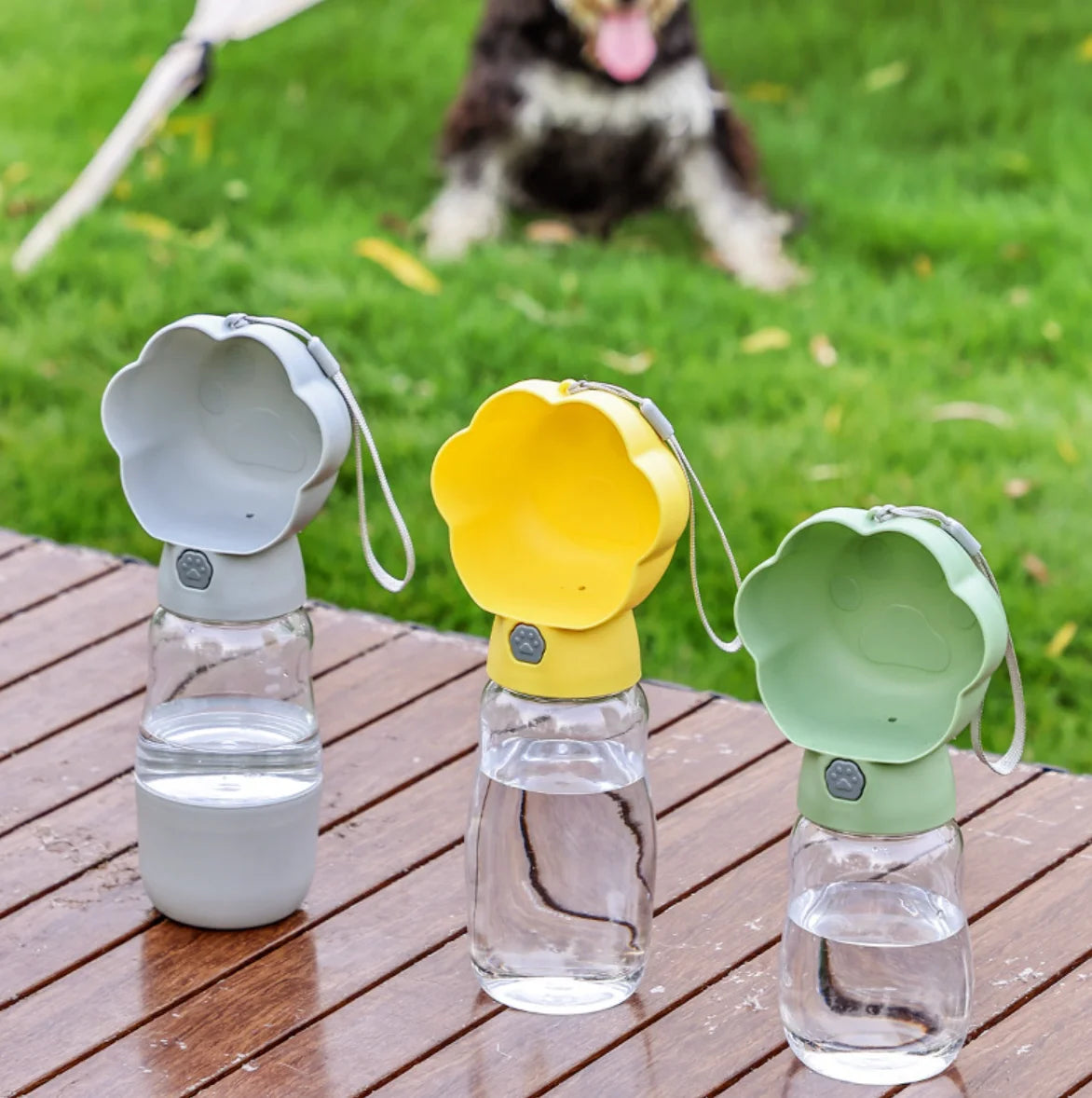 S2f3f71630a30461ab85f9c1dc3e3f56ck