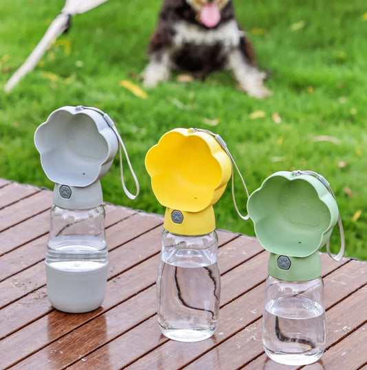 S2f3f71630a30461ab85f9c1dc3e3f56ck