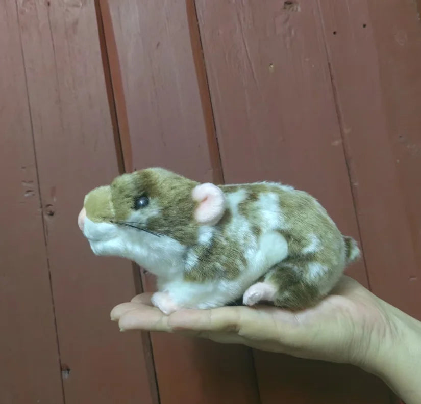 S301deece59e541268700766a32f41578d