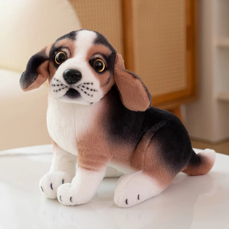 S356fa61486f2455787a3dd1f0b2aba44A